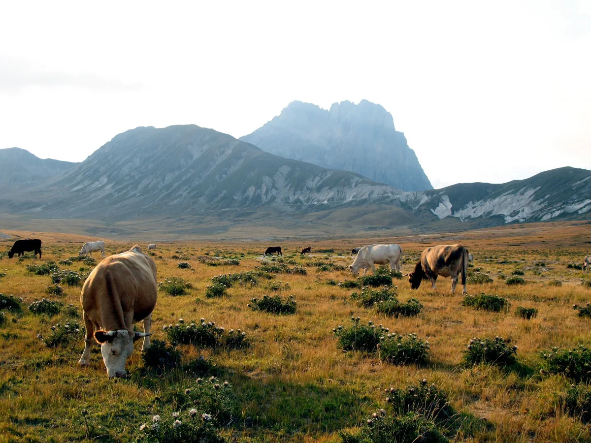 Campo Imperatore: Il Piccolo Tibet d'Italia