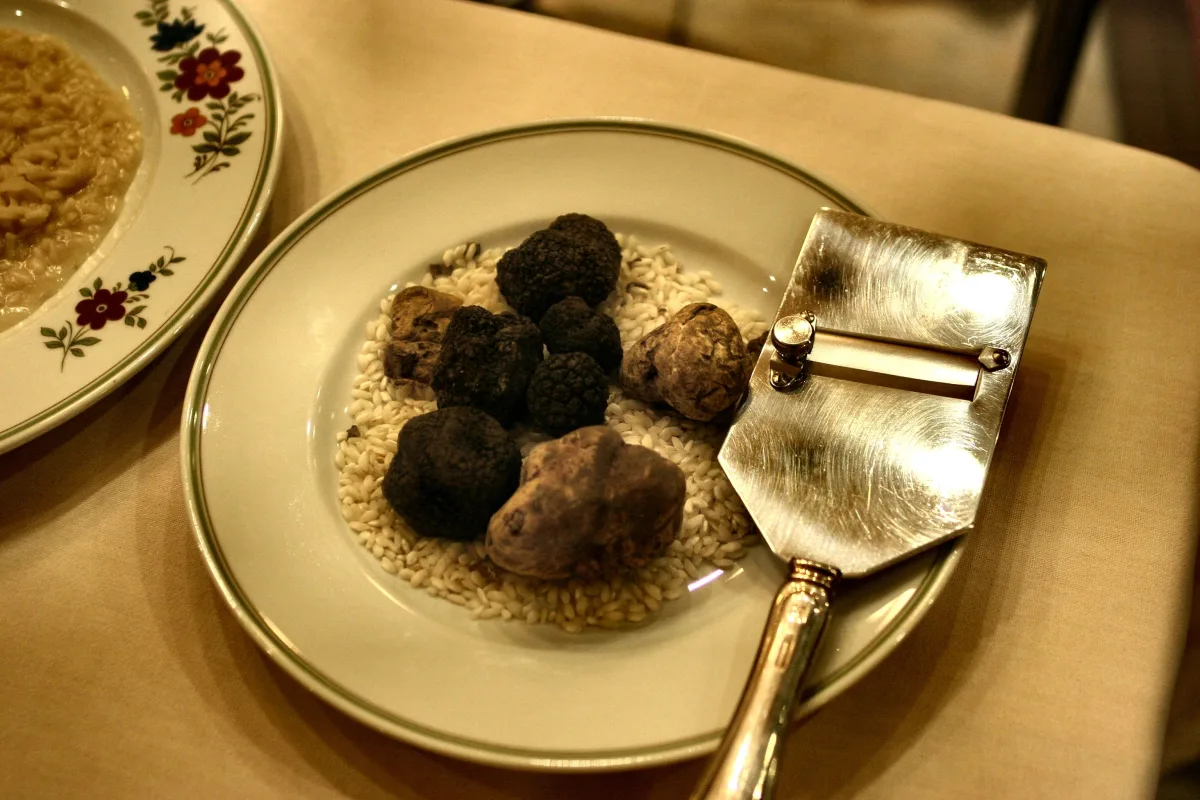 Sagra del Tartufo Campovalano 2026: date e programma da sapere