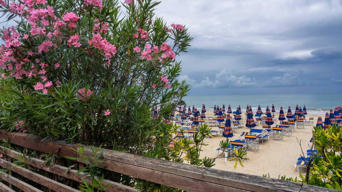 Feste ed Eventi a Giulianova: Un Viaggio tra Tradizioni e Cultura