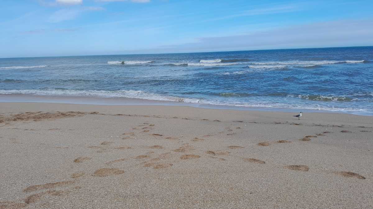 Le Spiagge e i Lidi più Belli del Lago di Scanno