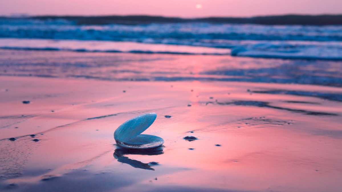 Le Spiagge e i Lidi più Belli del Lago di Campotosto