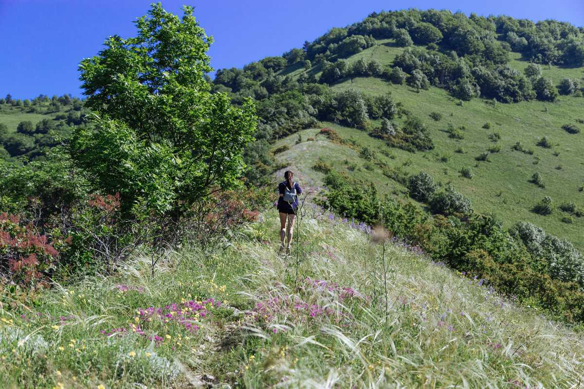 Famiglie che fanno trekking nei sentieri vicino a Giulianova